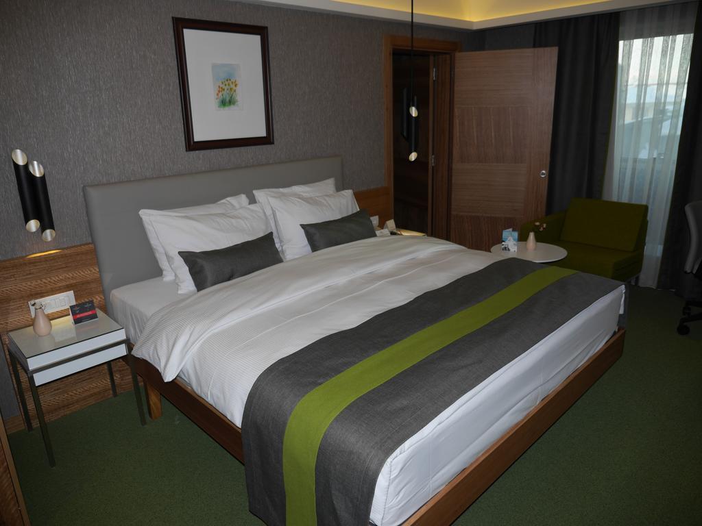 The Crater Hotel Tatvan Bilik gambar